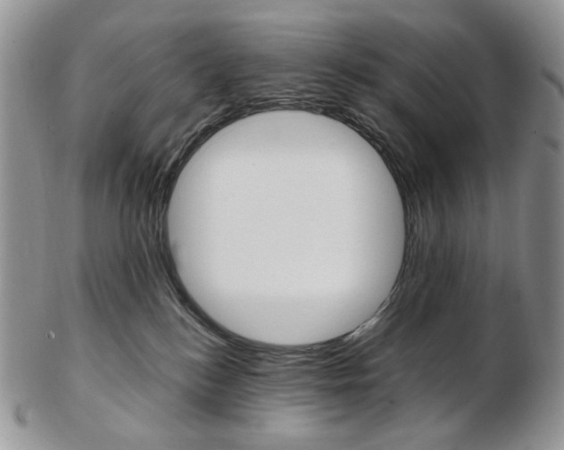 X0000103130184200808221050