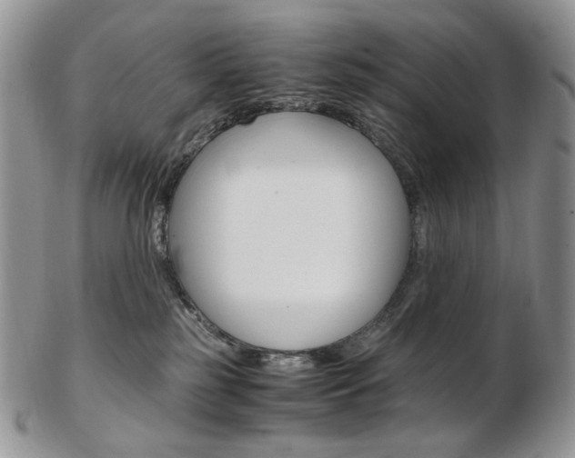 X0000103130185200808221050