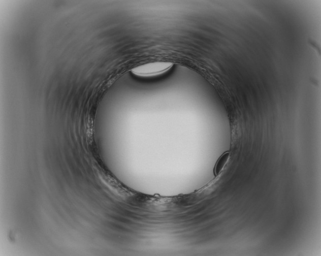 X0000103130186200808221050