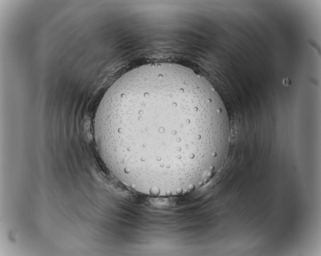 X0000103130187200808221050