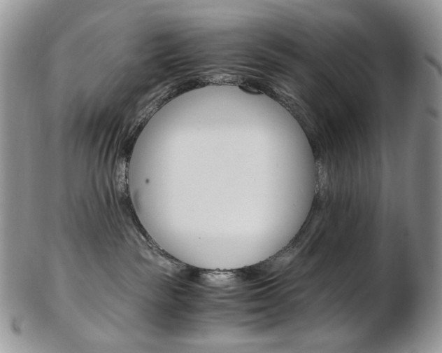 X0000103130189200808221050