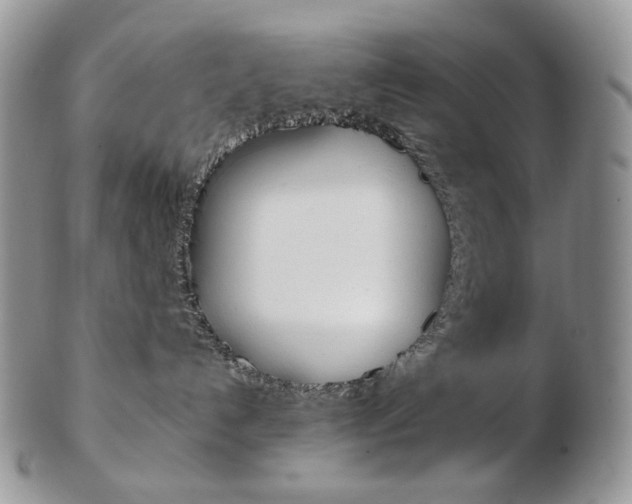 X0000103130192200808221050