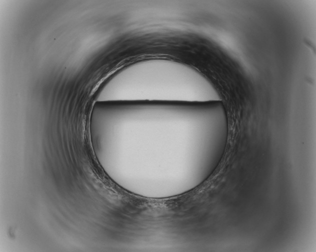 X0000103130194200808221049