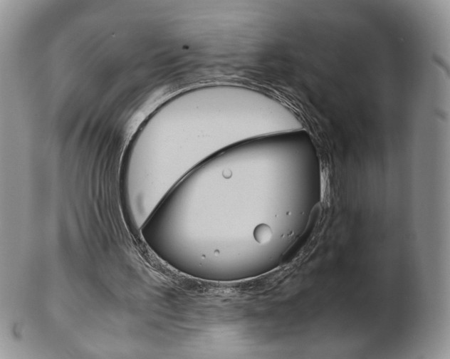 X0000103130195200808221049