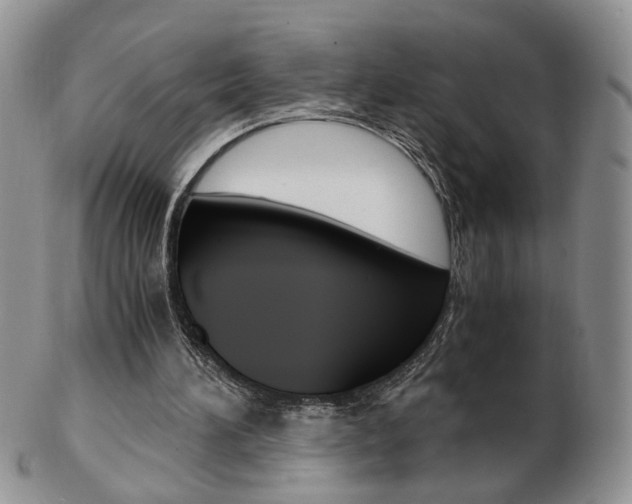 X0000103130196200808221049