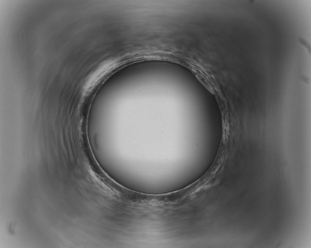 X0000103130197200808221049