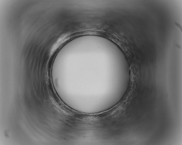 X0000103130198200808221049
