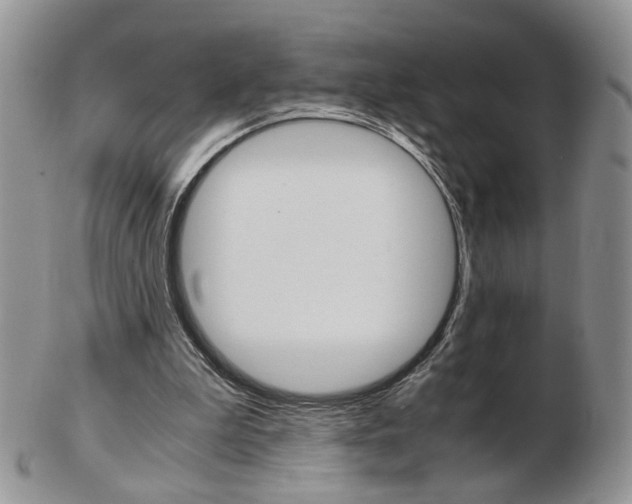 X0000103130199200808221049