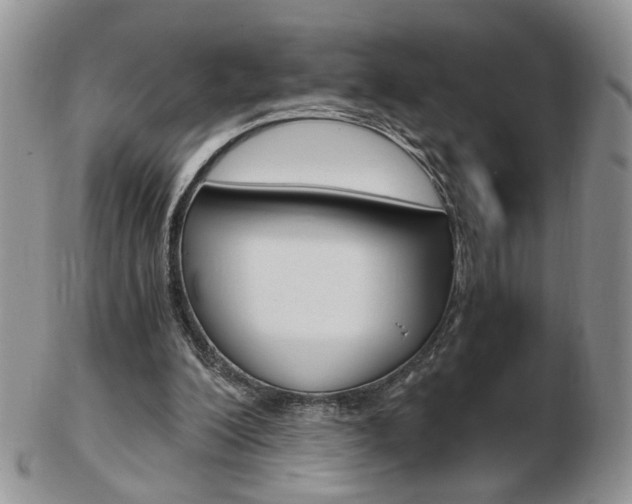 X0000103130200200808221049