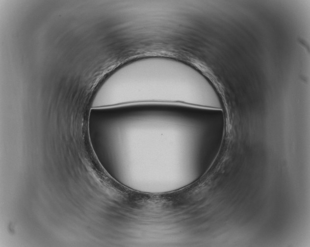X0000103130201200808221049