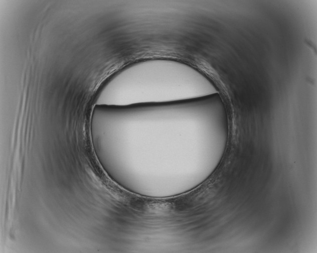 X0000103130202200808221049