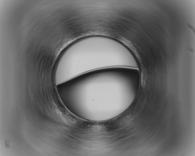 X0000103130204200808221049