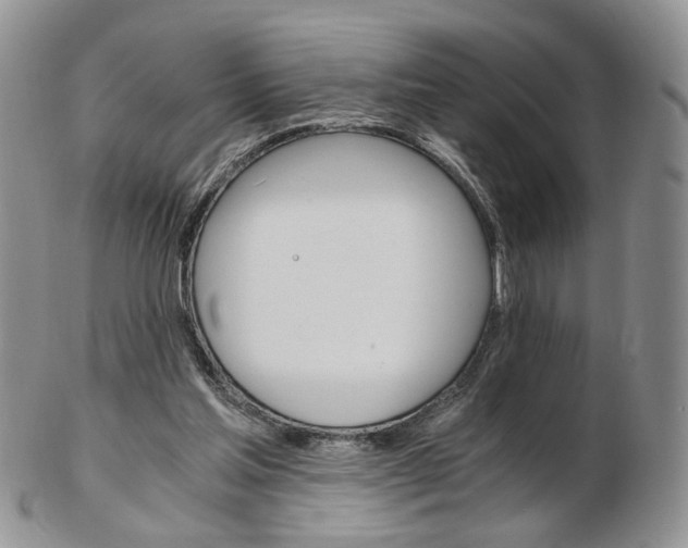 X0000103130205200808221049