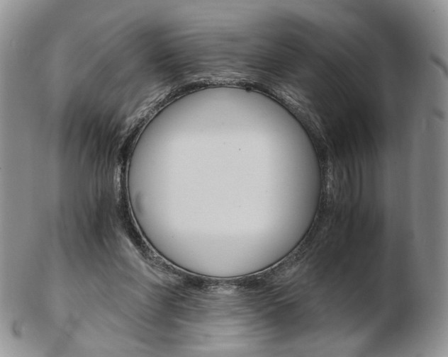 X0000103130206200808221049