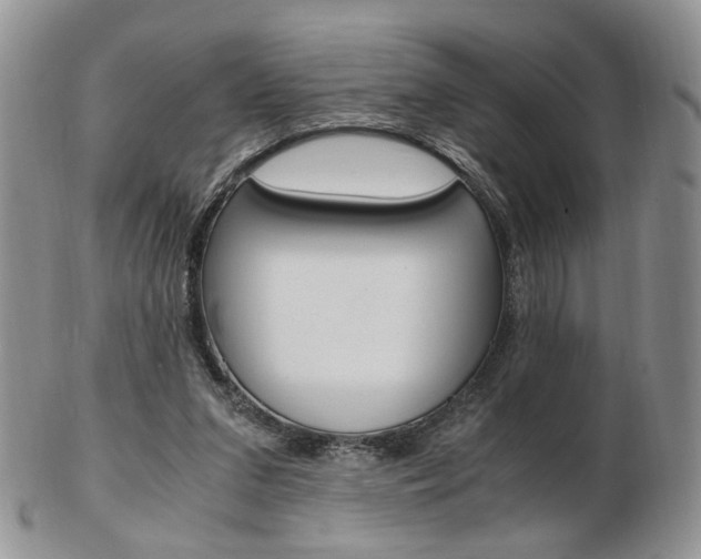 X0000103130207200808221049
