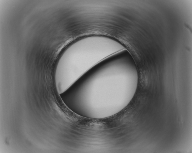X0000103130208200808221049