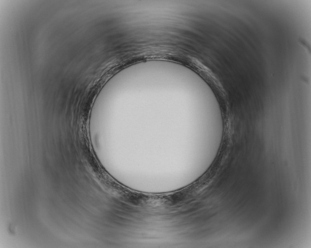 X0000103130209200808221049