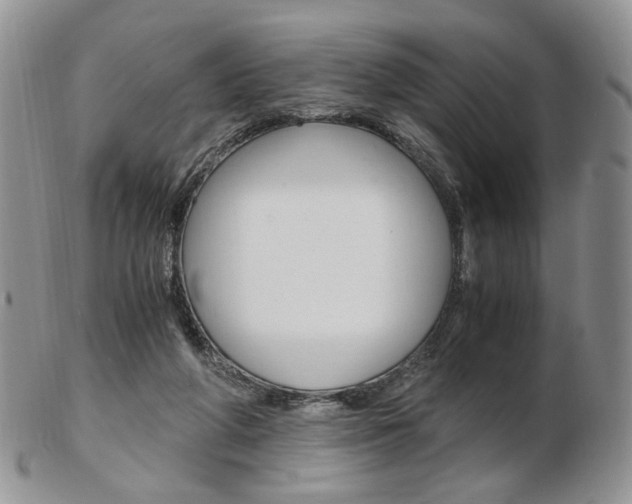 X0000103130210200808221049