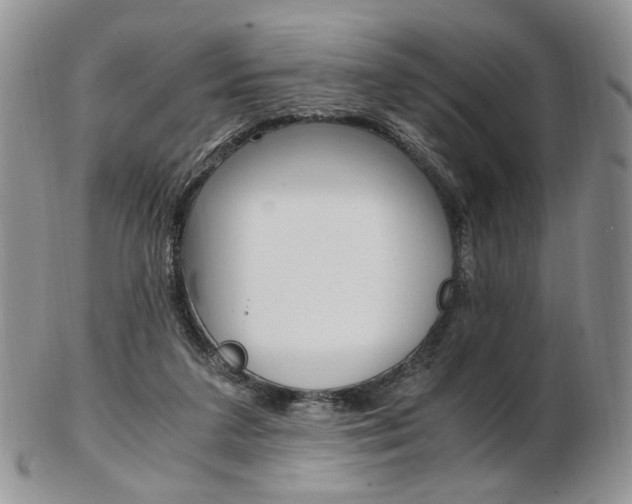 X0000103130211200808221049