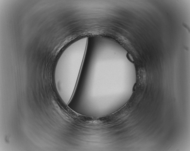 X0000103130212200808221049
