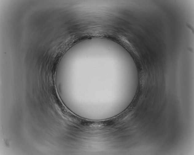 X0000103130213200808221049