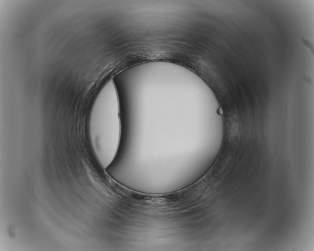 X0000103130214200808221049