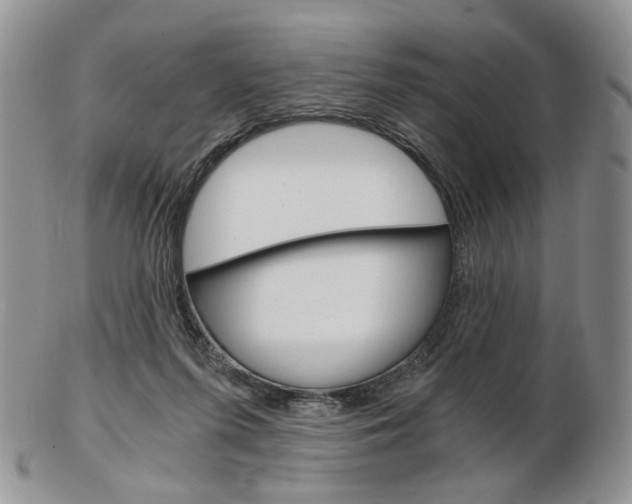 X0000103130215200808221049