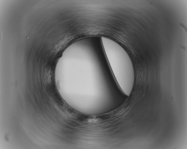 X0000103130216200808221049