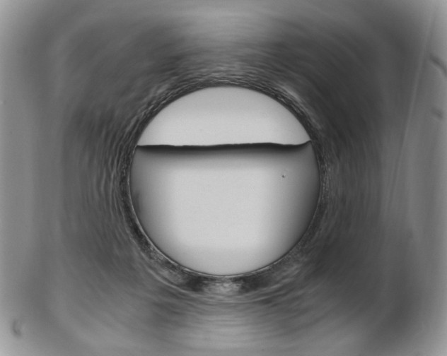 X0000103130217200808221049