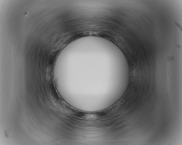X0000103130218200808221049