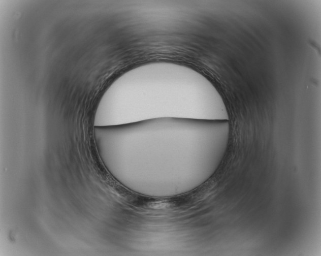 X0000103130219200808221049