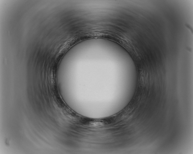 X0000103130220200808221049