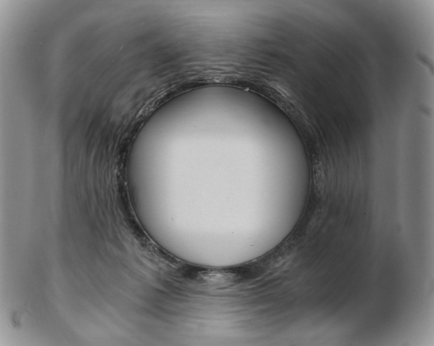 X0000103130221200808221049