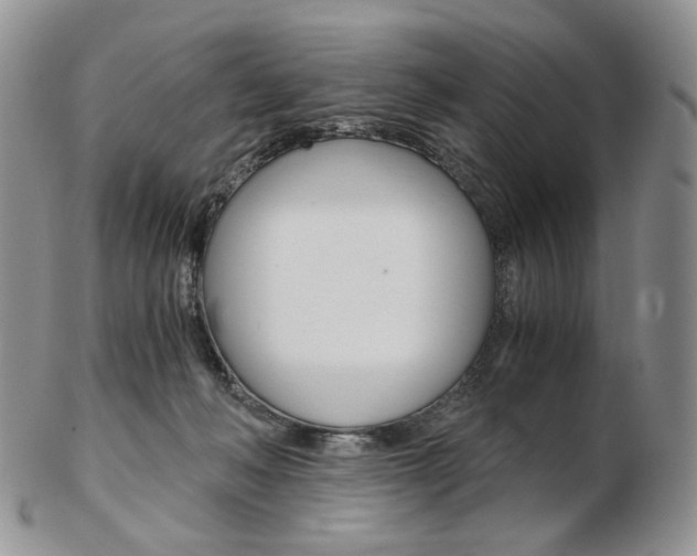X0000103130222200808221049
