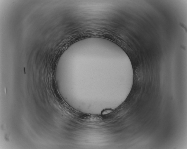 X0000103130223200808221049