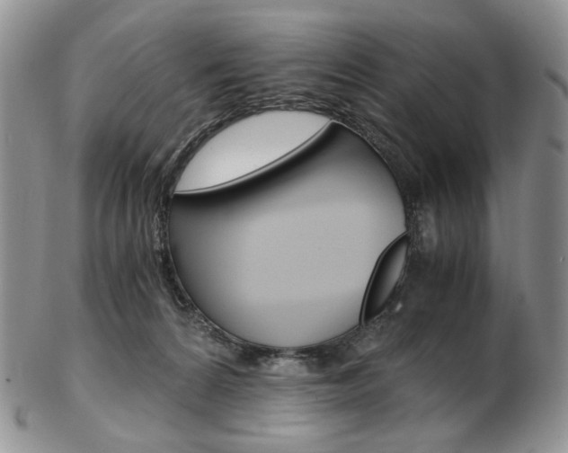 X0000103130224200808221049