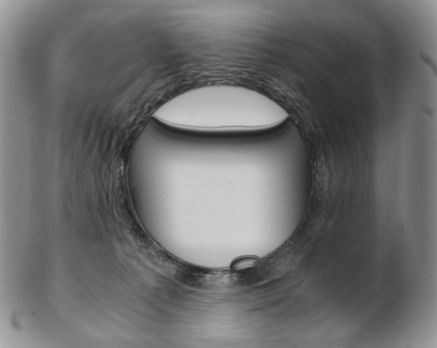 X0000103130225200808221049