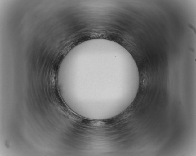 X0000103130226200808221049