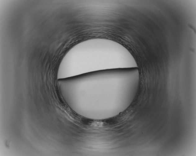 X0000103130227200808221049