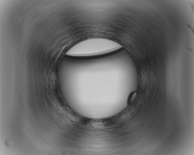 X0000103130228200808221049