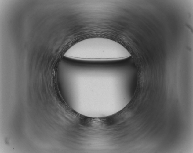 X0000103130229200808221049