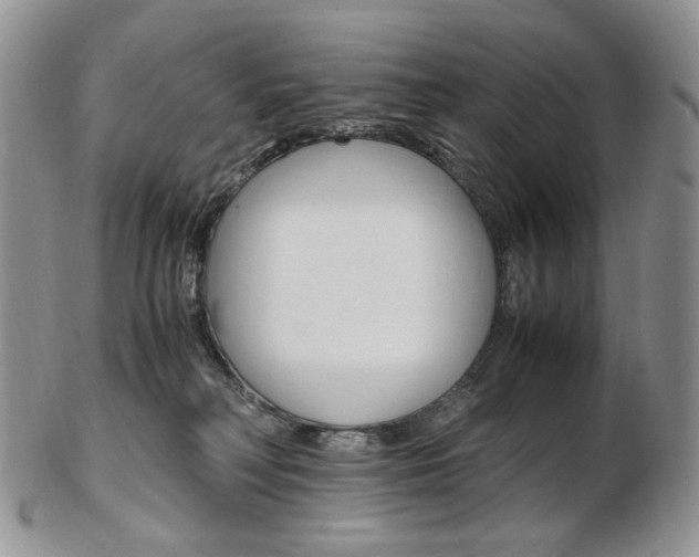X0000103130230200808221049