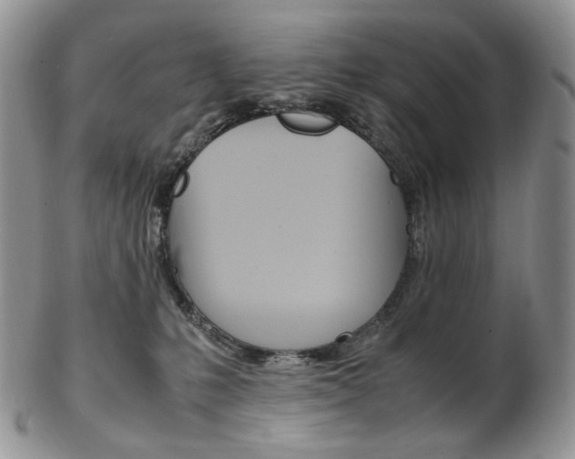 X0000103130231200808221049