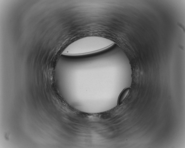 X0000103130232200808221049
