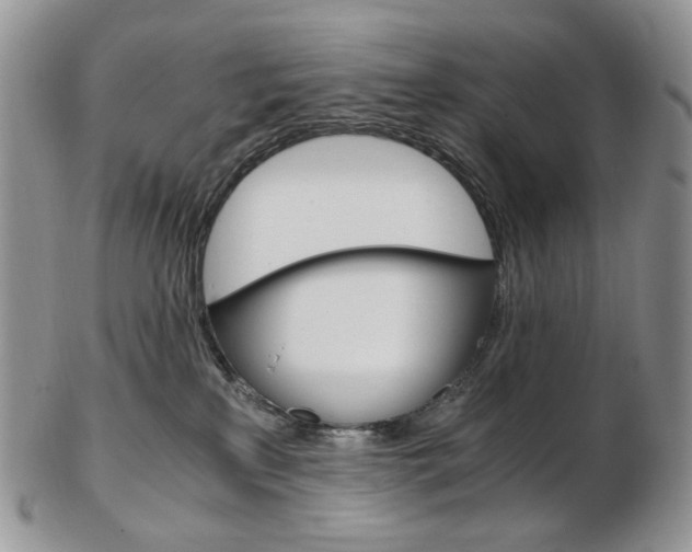 X0000103130233200808221049