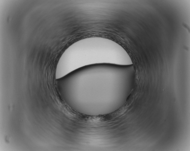 X0000103130235200808221048