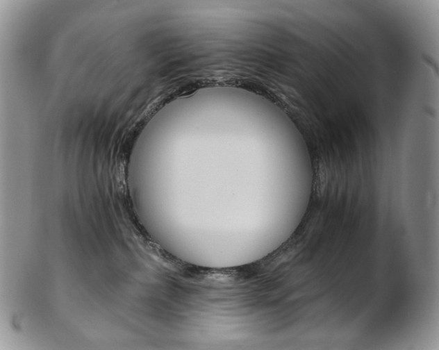 X0000103130236200808221048
