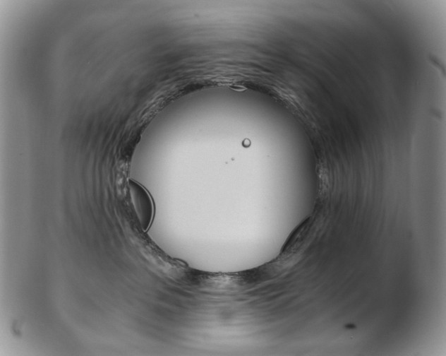 X0000103130237200808221048