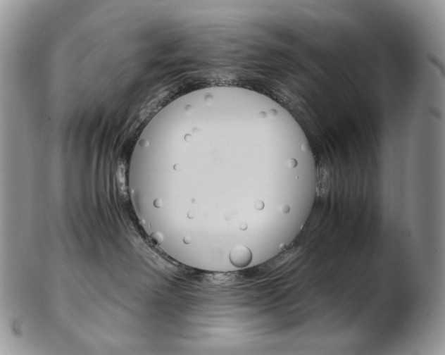X0000103130238200808221048