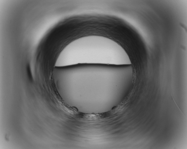 X0000103130239200808221048